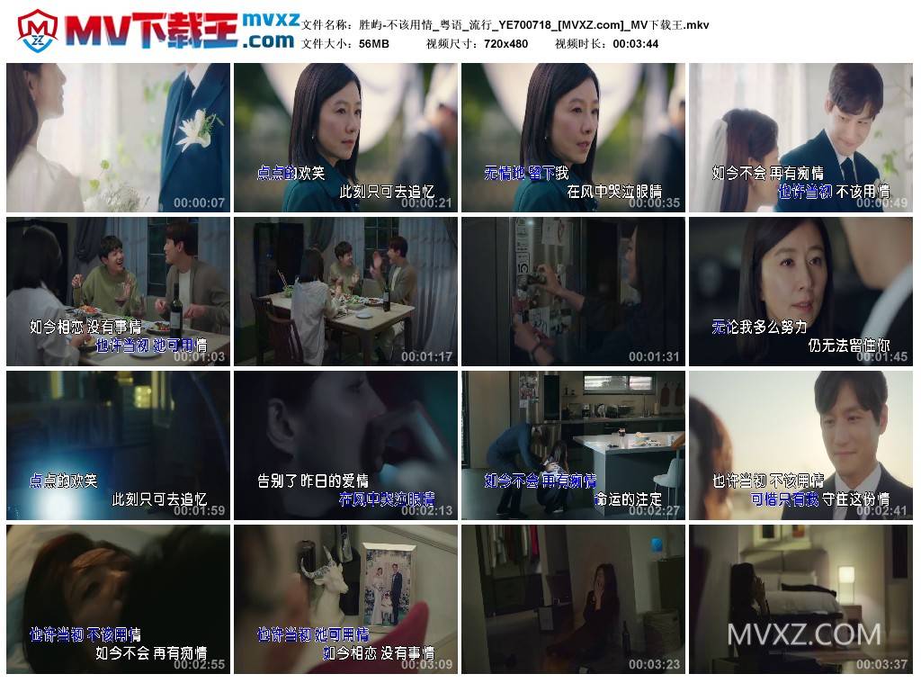 胜屿-不该用情_粤语_流行_YE700718